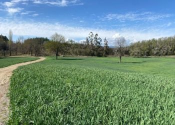 mision_verde_gal_0001