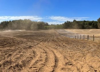 mision_verde_gal_0005