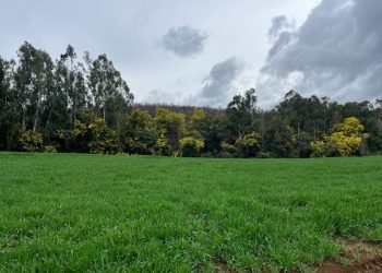 mision_verde_gal_0007