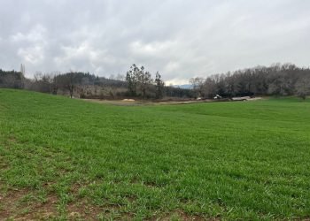 mision_verde_gal_0008