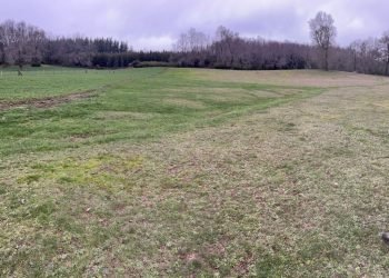 mision_verde_gal_0012