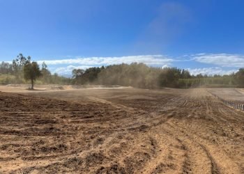 mision_verde_gal_0014